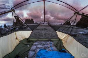 morning_picdump_785_640_23