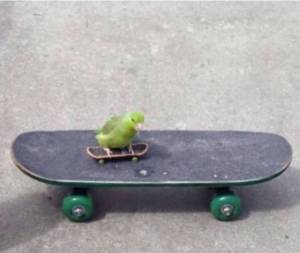 morning_picdump_792_640_53