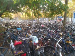 morning_picdump_799_640_56