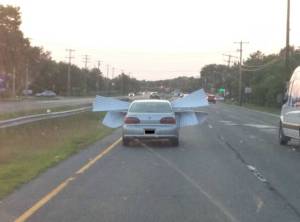 morning_picdump_801_640_23