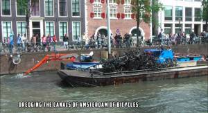 morning_picdump_803_640_32