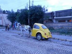 morning_picdump_803_640_33