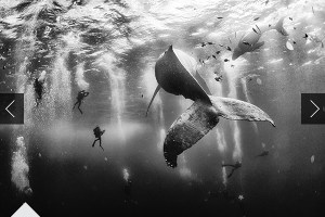 Multi_20150810_Wallpaper