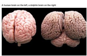 very_interesting_photo_02-2