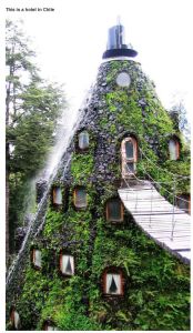 very_interesting_photos_10-3