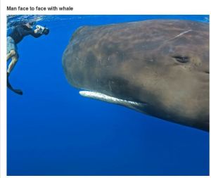 very_interesting_photos_10