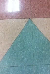 1471884_10152066353052533_68786256_n