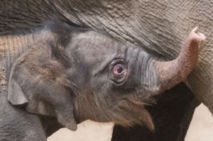 3619ff39d69ec6ea2f9e238041adaa065034161ec4e8eecb005c2ec1a00c2a07