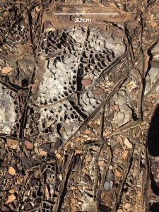 6a0105371bb32c970b01b8d138a8f7970c-750wi