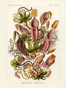 8645f09673c6b14d457f109bc4502ee0