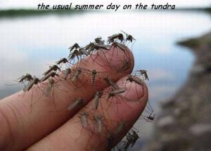 candaily_picdump_1863_640_24