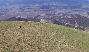 daily_gifdump_890_29