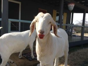 daily_picdump_1674_640_10