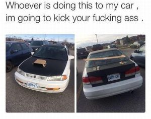 daily_picdump_1685_640_88