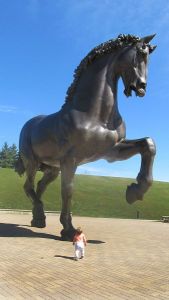 daily_picdump_1792_640_82