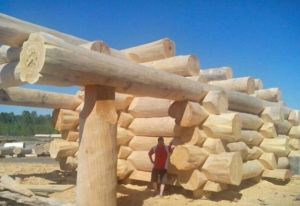 daily_picdump_1793_640_55