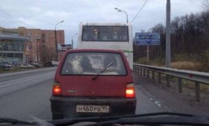 daily_picdump_1805_640_22