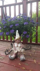 daily_picdump_1814_640_52