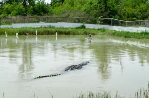 daily_picdump_1833_640_79