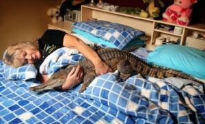 daily_picdump_1835_640_21