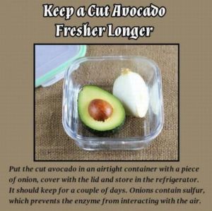 daily_picdump_1838_640_91