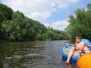 daily_picdump_1847_640_01