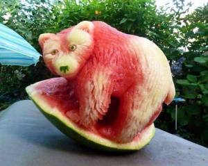 daily_picdump_1850_640_57-1