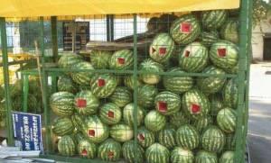 daily_picdump_1852_640_15