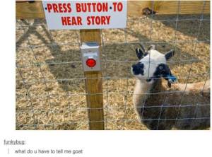 daily_picdump_1858_640_59