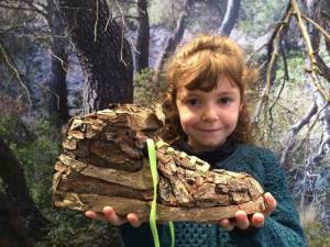 daily_picdump_1860_640_38