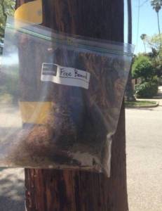 daily_picdump_1867_640_24