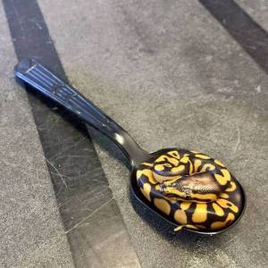 daily_picdump_1868_640_16