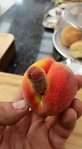 daily_picdump_1868_640_46