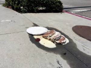 daily_picdump_1868_640_67