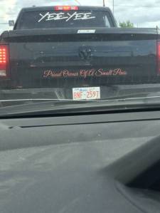 daily_picdump_1868_640_high_09