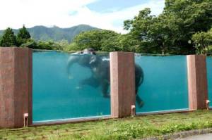 daily_picdump_1869_640_97