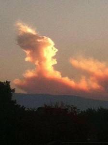 daily_picdump_1871_640_31