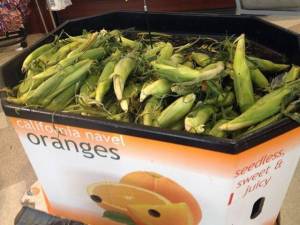 daily_picdump_1873_640_35