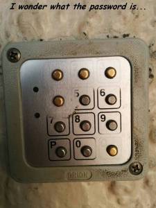 daily_picdump_1879_640_88