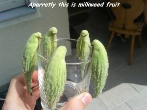 daily_picdump_1880_640_87