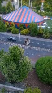 daily_picdump_1881_640_04