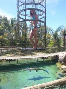 daily_picdump_1881_640_45