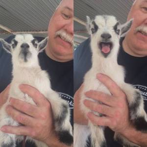 daily_picdump_1885_640_83