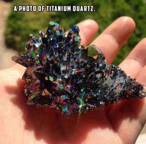 daily_picdump_1886_640_58