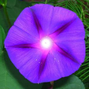 daily_picdump_1886_640_82