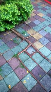 daily_picdump_1887_640_35