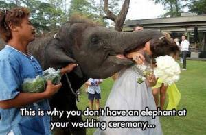 daily_picdump_1890_640_16