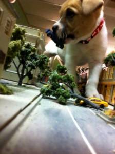 daily_picdump_1891_640_111