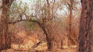 daily_picdump_1893_640_85