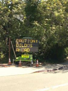 daily_picdump_1894_640_44